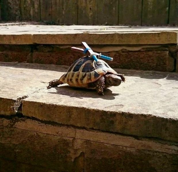 morning picdump 53 pics 21.html - 53 HD Photos | Premium Gallery 2015