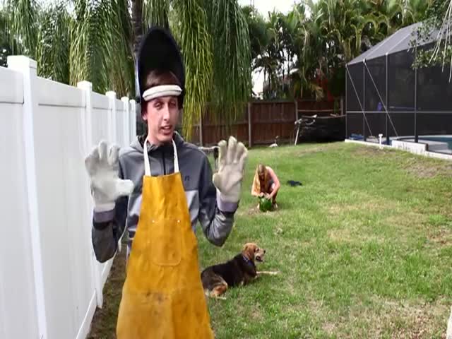 page,13,top 500 videos of the year 2015.html - 1 HD Video | Premium Gallery 2015