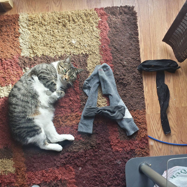 Morning Picdump