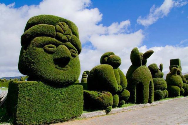 Morning Picdump