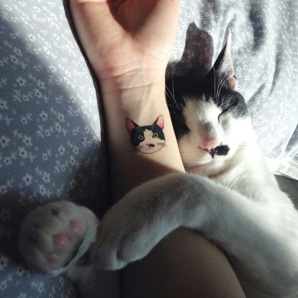 Morning Picdump