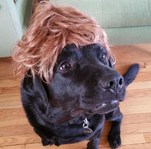 morning picdump 52 pics 7.html - 52 HD Photos | Premium Gallery 2015