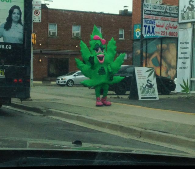 morning picdump 54 pics 19.html - 54 HD Photos | Premium Gallery 2015