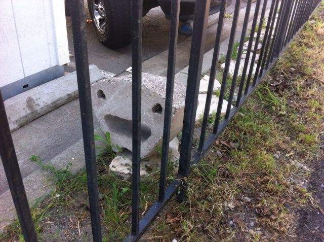morning picdump 54 pics 19.html - 54 HD Photos | Premium Gallery 2015