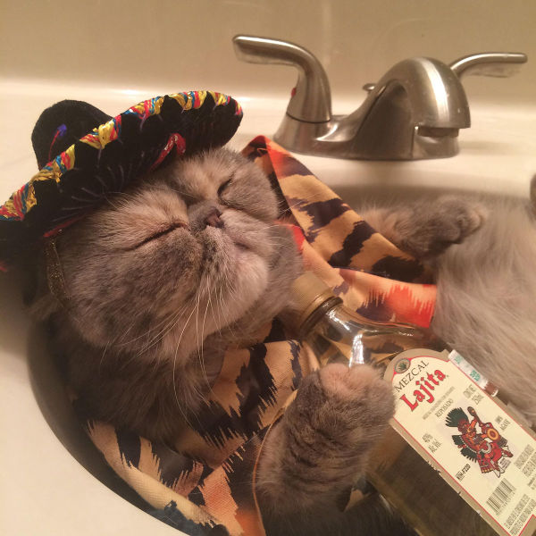 morning picdump 54 pics 19.html - 54 HD Photos | Premium Gallery 2015
