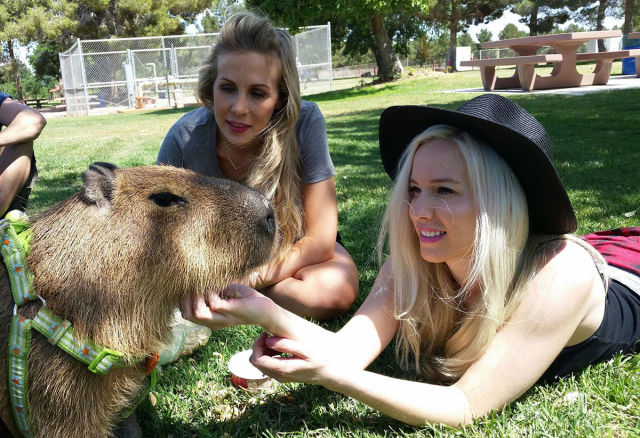 morning picdump 54 pics 19.html - 54 HD Photos | Premium Gallery 2015