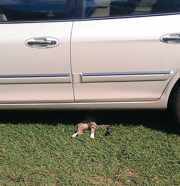 morning picdump 53 pics 10.html - 53 HD Photos | Premium Gallery 2015