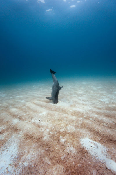 morning picdump 53 pics 10.html - 53 HD Photos | Premium Gallery 2015