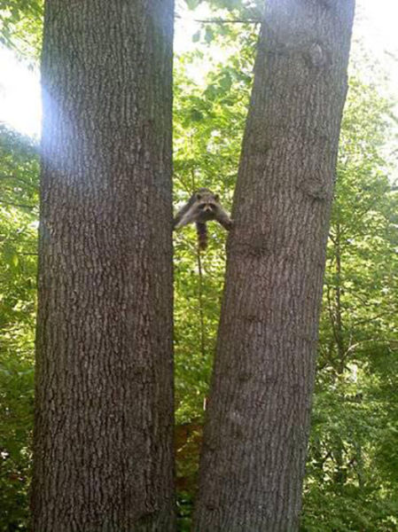 morning picdump 53 pics 10.html - 53 HD Photos | Premium Gallery 2015