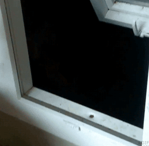 Let Me Think About It…Um Still No