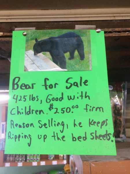 Let Me Think About It…Um Still No