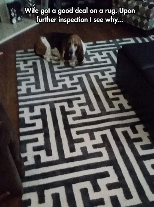 Let Me Think About It…Um Still No