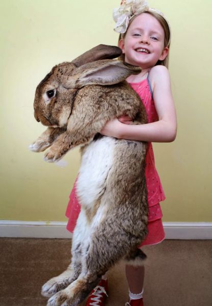 Morning Picdump
