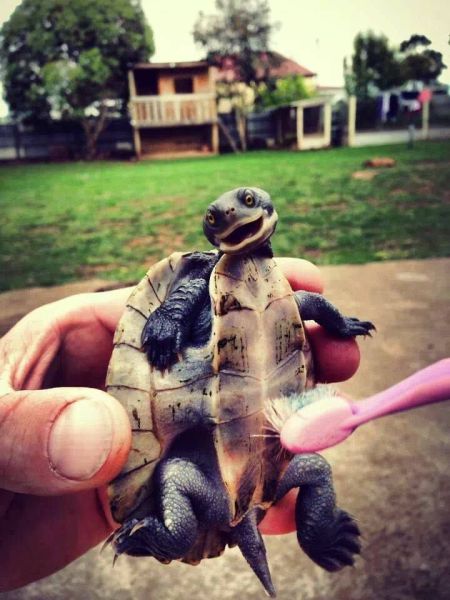 Morning Picdump