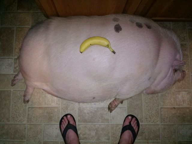 morning picdump 54 pics 3.html - 54 HD Photos | Premium Gallery 2015