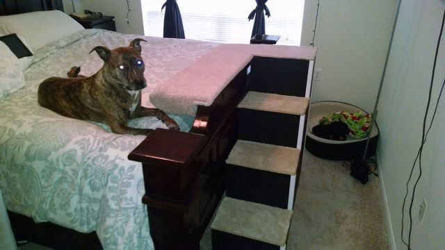 morning picdump 54 pics 3.html - 54 HD Photos | Premium Gallery 2015