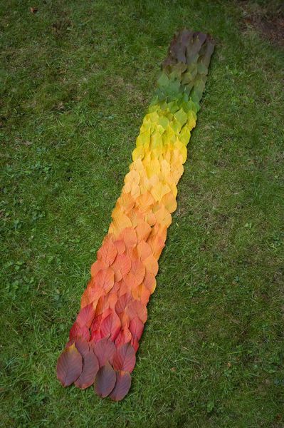 morning picdump 54 pics 3.html - 54 HD Photos | Premium Gallery 2015