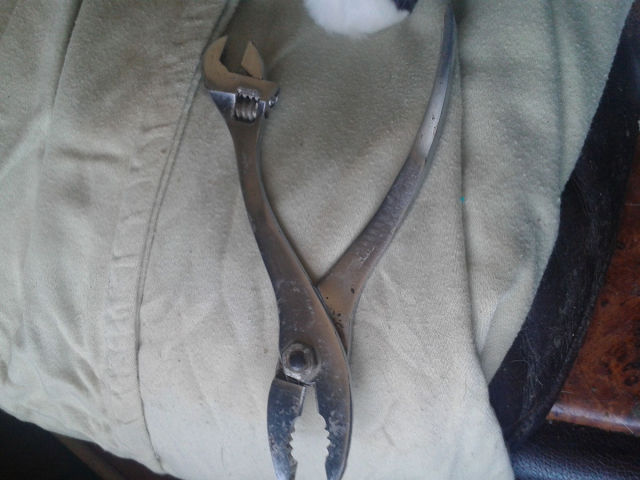 morning picdump 54 pics 10.html - 54 HD Photos | Premium Gallery 2015