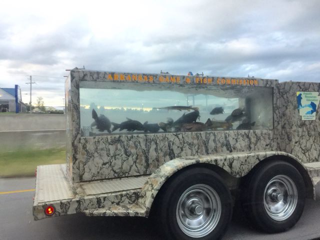 morning picdump 54 pics 10.html - 54 HD Photos | Premium Gallery 2015