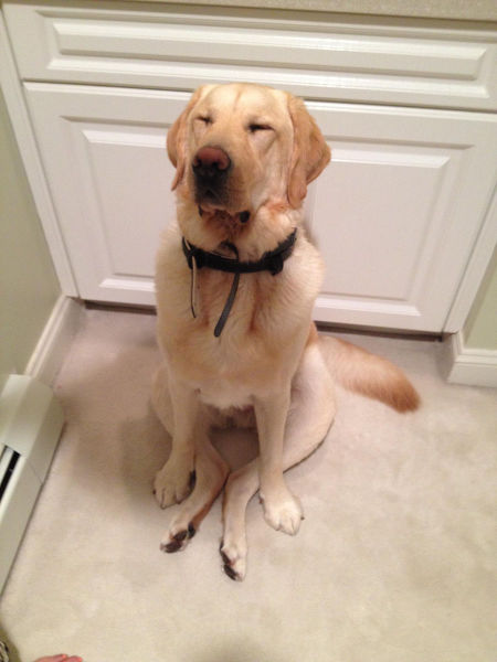 morning picdump 54 pics 10.html - 54 HD Photos | Premium Gallery 2015