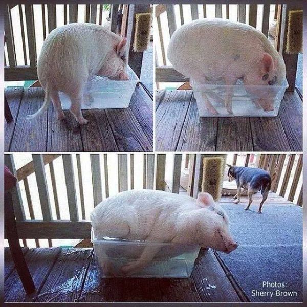 morning picdump 54 pics 10.html - 54 HD Photos | Premium Gallery 2015