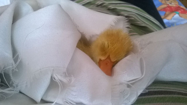 morning picdump 54 pics 10.html - 54 HD Photos | Premium Gallery 2015