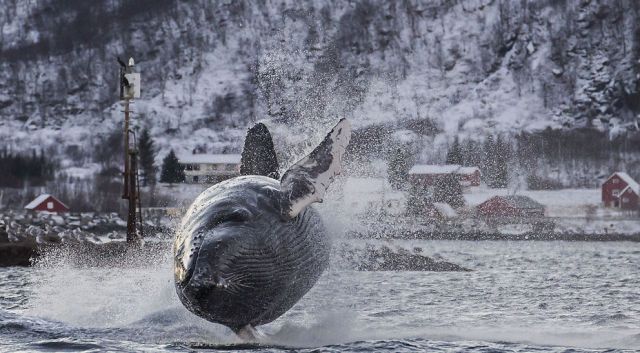 morning picdump 54 pics 10.html - 54 HD Photos | Premium Gallery 2015