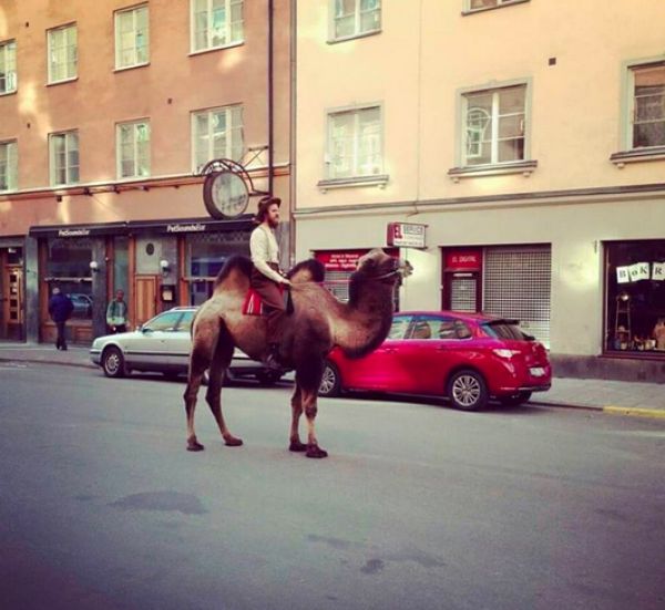 morning picdump 54 pics 10.html - 54 HD Photos | Premium Gallery 2015