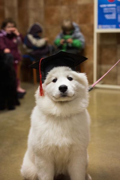 daily picdump 107 pics 22.html - 107 HD Photos | Premium Gallery 2015