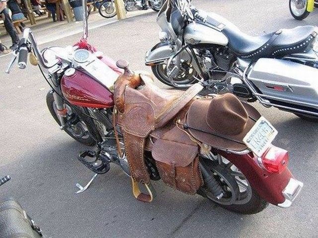 daily picdump 107 pics 22.html - 107 HD Photos | Premium Gallery 2015