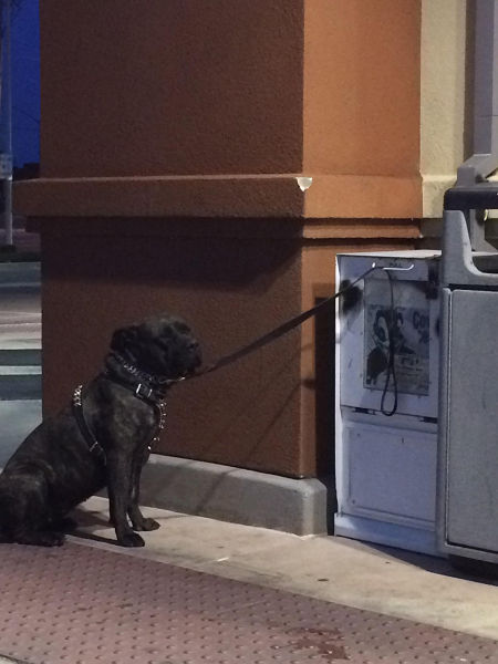morning picdump 54 pics 16.html - 54 HD Photos | Premium Gallery 2015