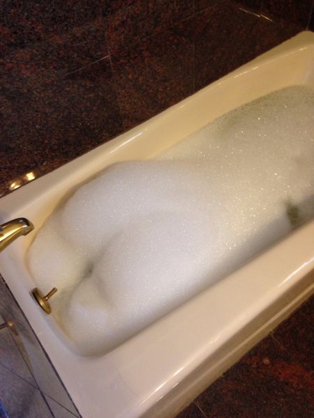 morning picdump 54 pics 16.html - 54 HD Photos | Premium Gallery 2015