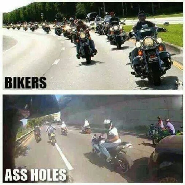 page,3,top 450 funny pics of the year 2015.html - 1 HD Photos | Premium Gallery 2015