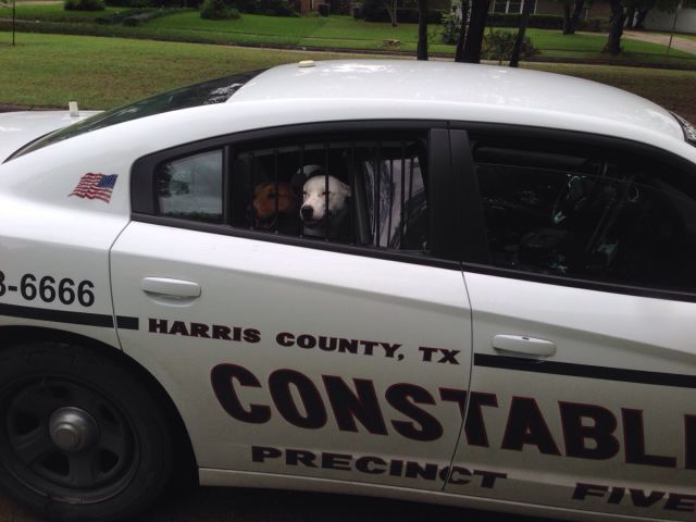 morning picdump 56 pics 25.html - 56 HD Photos | Premium Gallery 2015