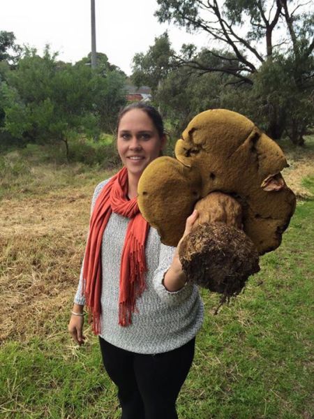 morning picdump 56 pics 25.html - 56 HD Photos | Premium Gallery 2015