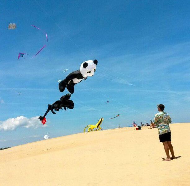 daily picdump 99 pics 1.html - 99 HD Photos | Premium Gallery 2015