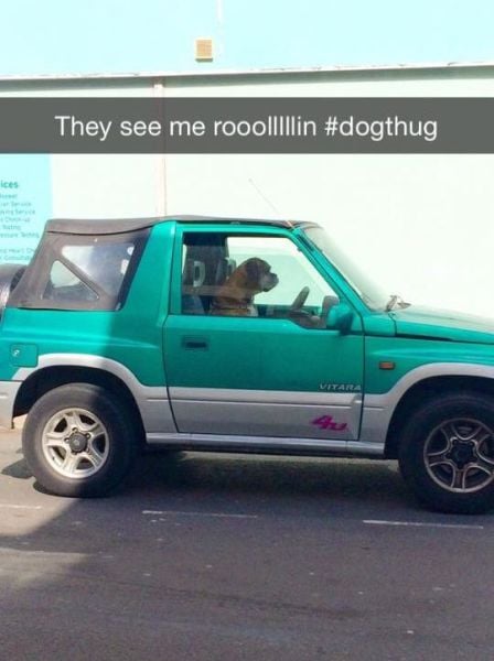 daily picdump 99 pics 1.html - 99 HD Photos | Premium Gallery 2015