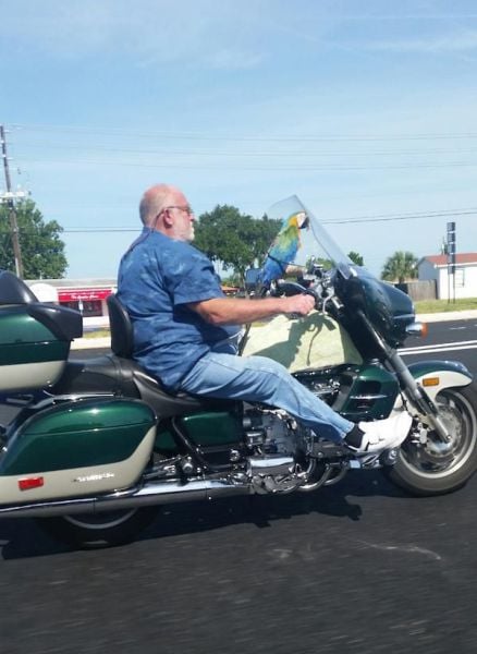 daily picdump 99 pics 1.html - 99 HD Photos | Premium Gallery 2015