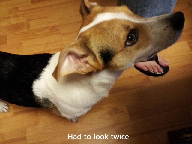 daily picdump 99 pics 1.html - 99 HD Photos | Premium Gallery 2015