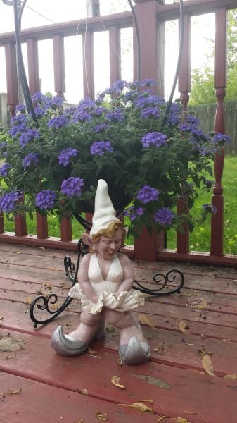 daily picdump 99 pics 1.html - 99 HD Photos | Premium Gallery 2015