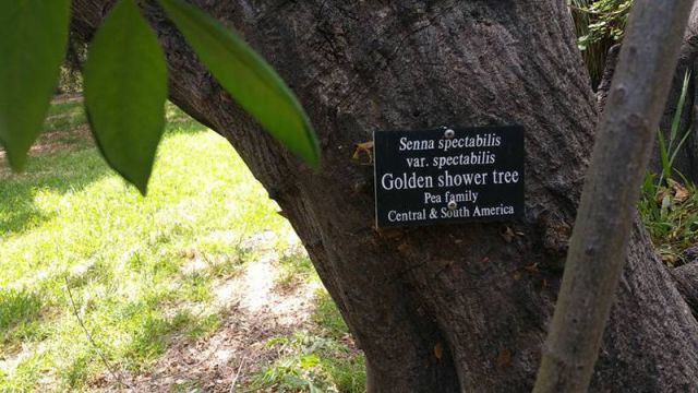 daily picdump 99 pics 1.html - 99 HD Photos | Premium Gallery 2015