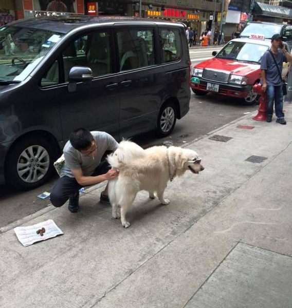 daily picdump 99 pics 1.html - 99 HD Photos | Premium Gallery 2015