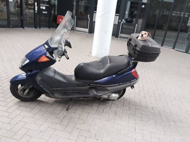 daily picdump 99 pics 1.html - 99 HD Photos | Premium Gallery 2015