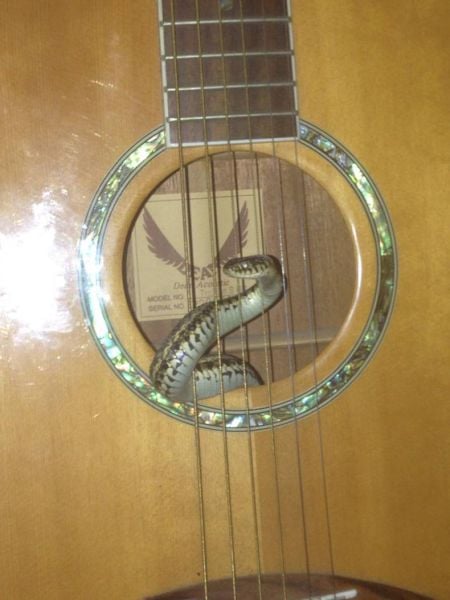 daily picdump 99 pics 1.html - 99 HD Photos | Premium Gallery 2015