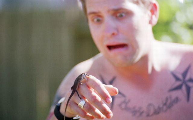 daily picdump 99 pics 1.html - 99 HD Photos | Premium Gallery 2015