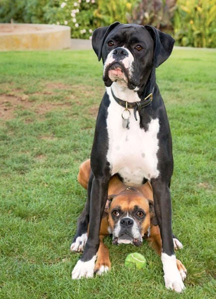 daily picdump 99 pics 1.html - 99 HD Photos | Premium Gallery 2015