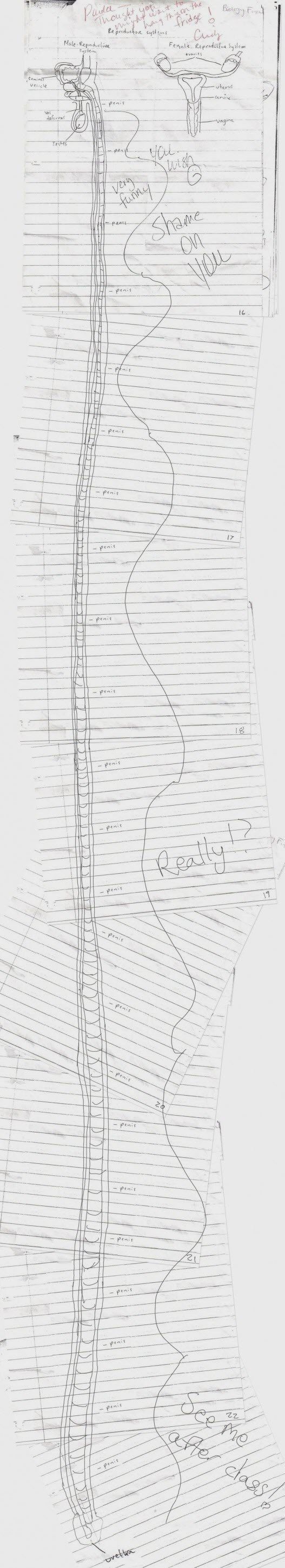 daily picdump 99 pics 1.html - 99 HD Photos | Premium Gallery 2015