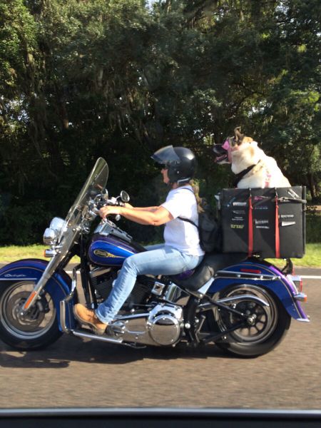 morning picdump 53 pics 22.html - 53 HD Photos | Premium Gallery 2015