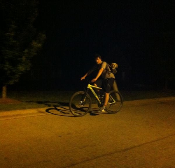 morning picdump 53 pics 22.html - 53 HD Photos | Premium Gallery 2015