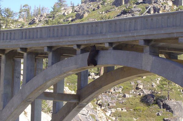 morning picdump 53 pics 22.html - 53 HD Photos | Premium Gallery 2015